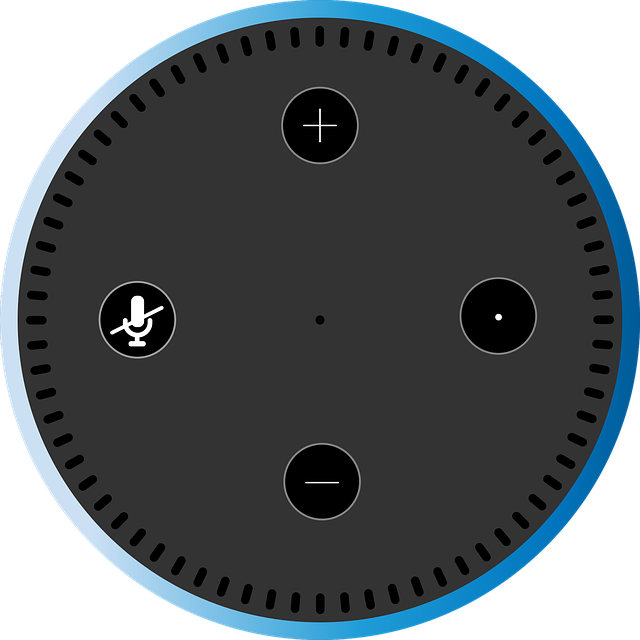 picture of the Amazon Alexa Echo Dot